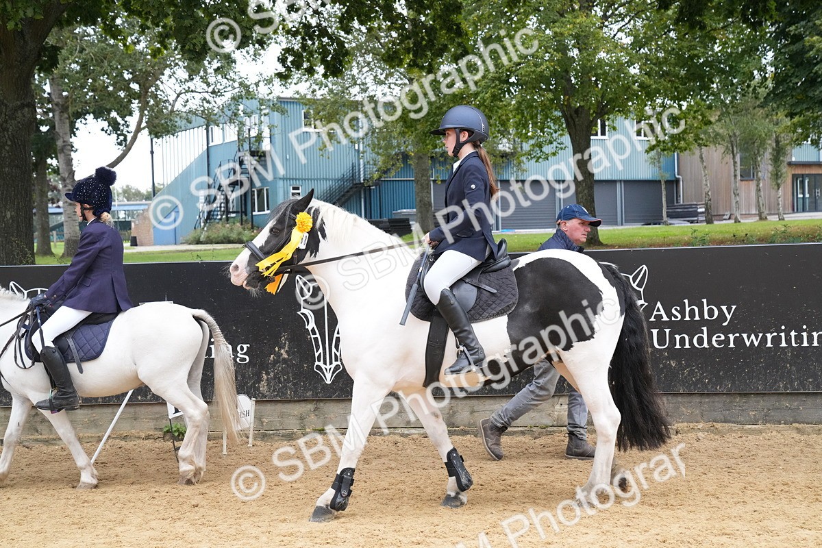 SBM_71817 - J3 - Mini Tour Junior Pony 40cm Championship