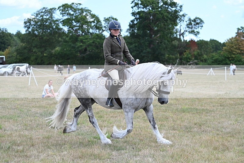 WJ7_4923 - Class 12 Ridden Cob