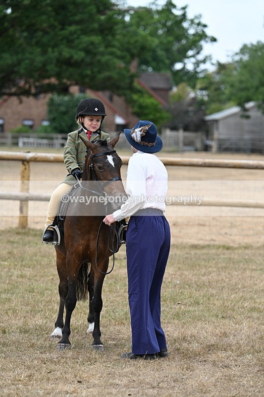 WJ7_0666 - Class 6 Ridden Mountain and Moorland