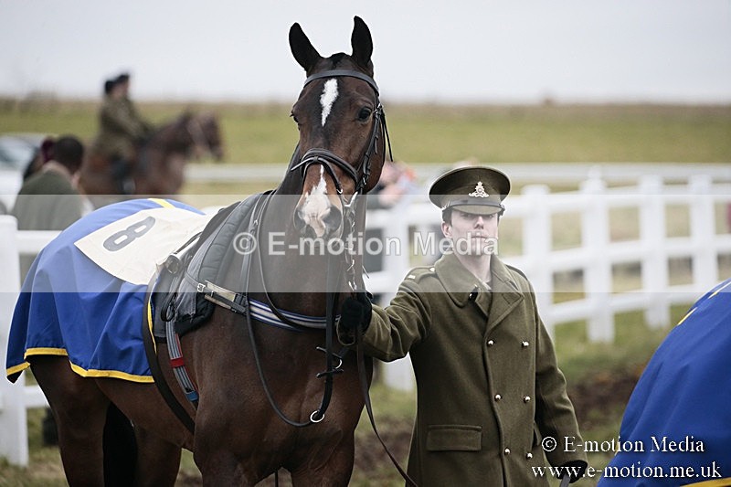 PtP 180218 30 - Combined Services Point-to-Point Larkhill 18/02/18