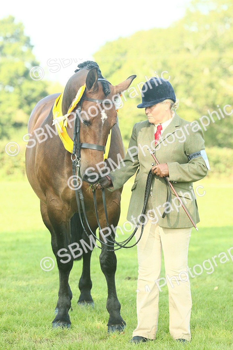 SBM_61141 - Starter Supreme Championship