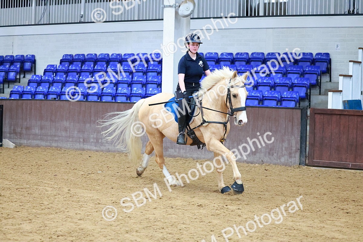 SBM_000256 - Class 1 - 80cm