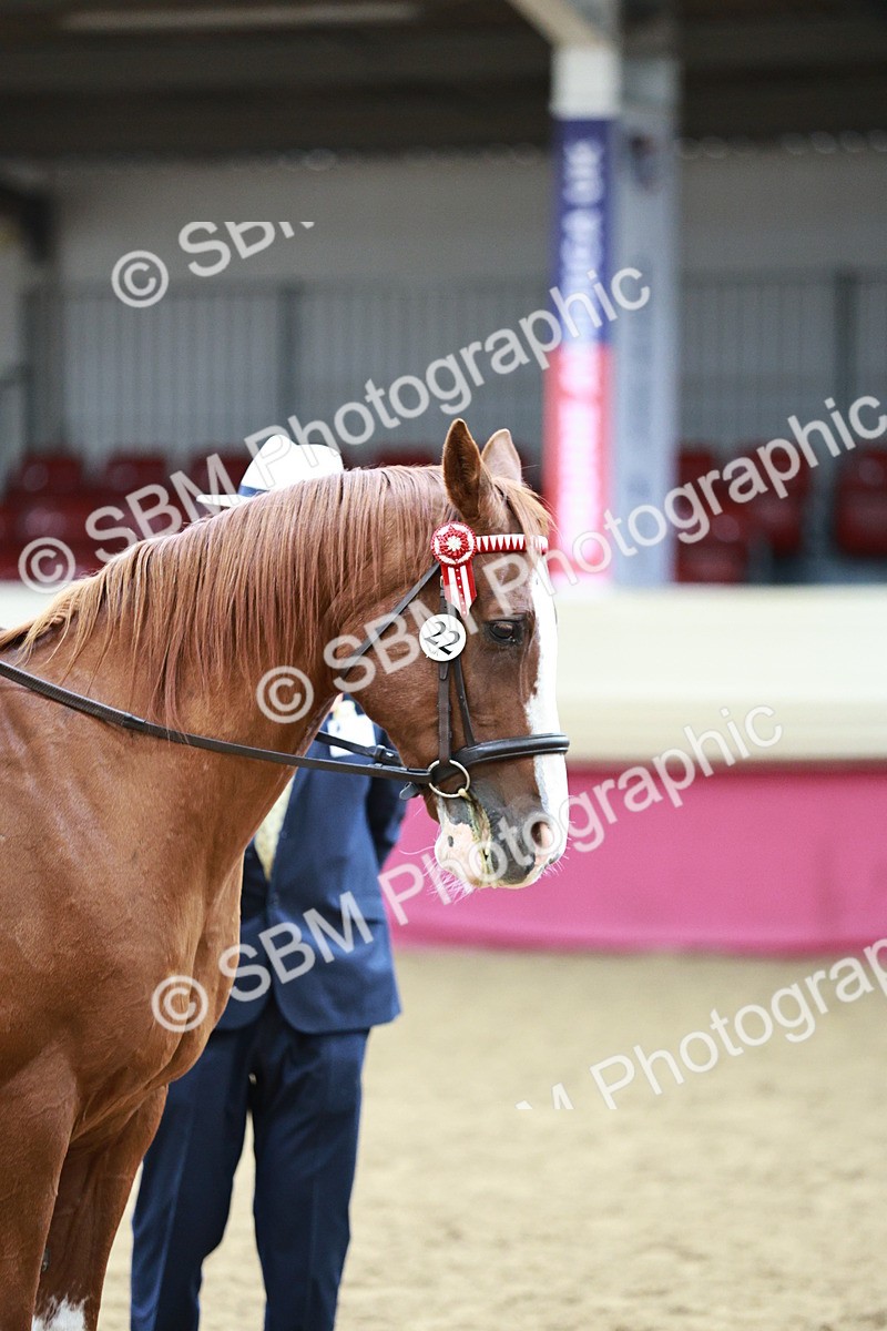 SBM_03039 - Class 5A - Area Ridden Veteran