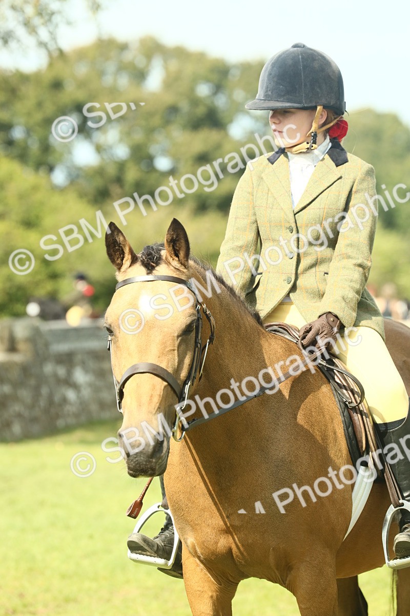 SBM_68859 - S58 - Mini Show Cob Ridden