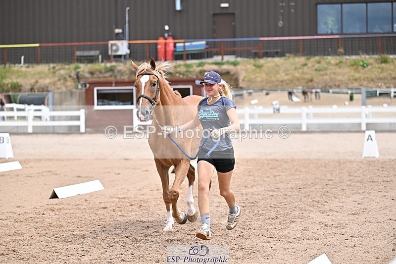 250716-132814-00540 - Trot Up 12.30 to 1.30