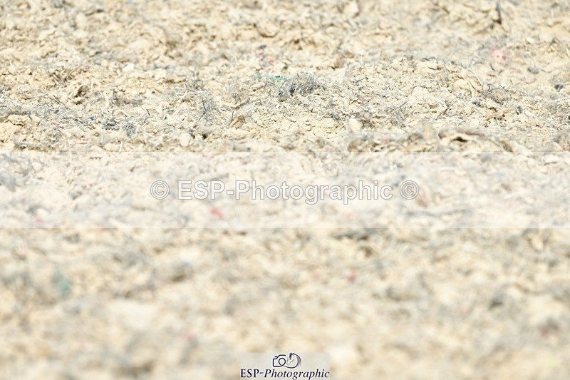 230623-161410-02833 - Cls 6 Elementary 53Q