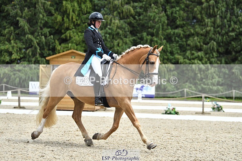 230812-142252-04687 - Cls 7 FEI PSG Bronze