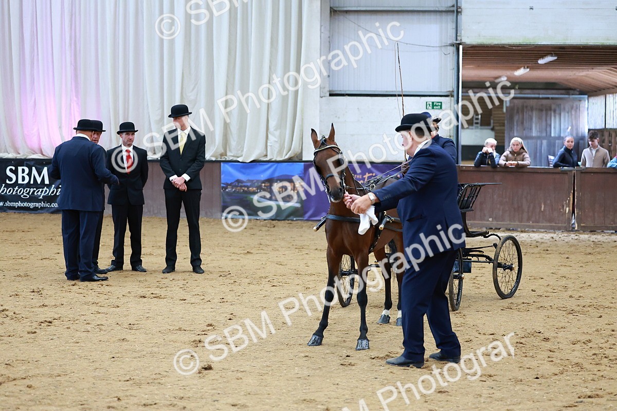 SBM_000660 - Class 9 - HHS Championship Intl Hackney Pony to a Showwagon