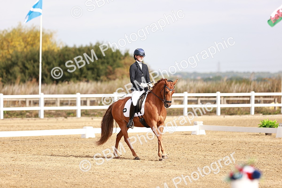 SBM_016897 - Class 10 - Medium 6