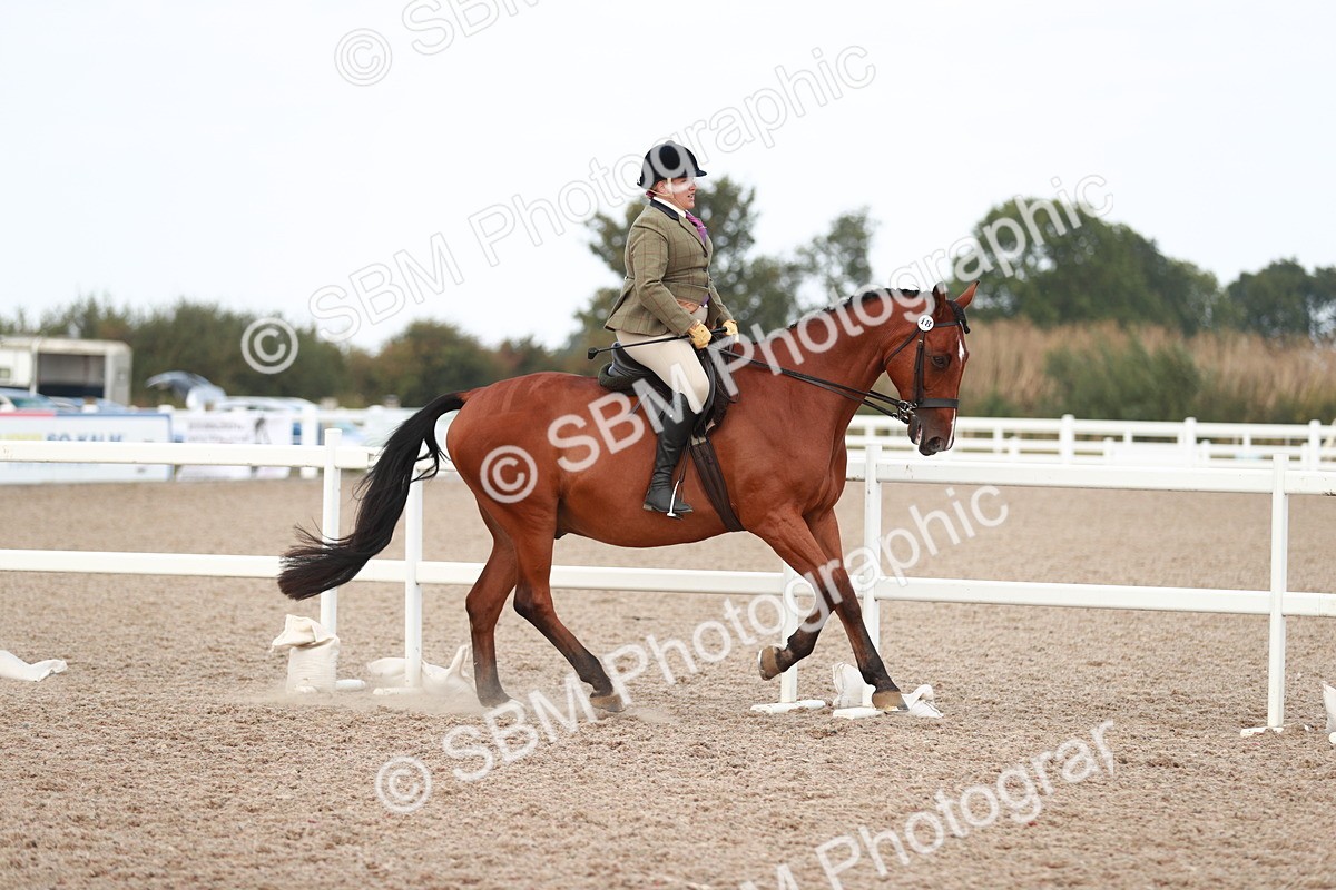 SBM_15493 - Class 213 Ridden Hunter -Large