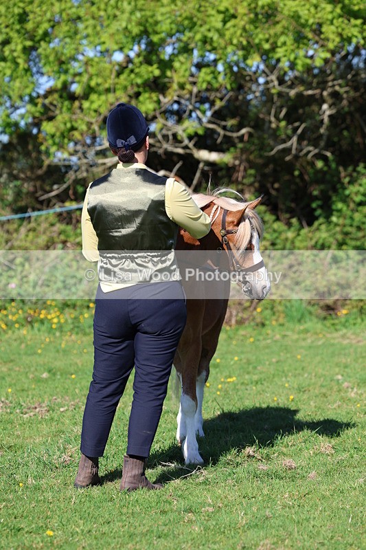 3E7A8405 - Class 12: M & M Small Breeds