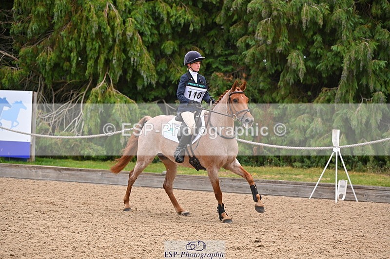 250802A-102156-00512 - C-116-Pippa.Krzywiec-FARFADET.DE.LHEBER