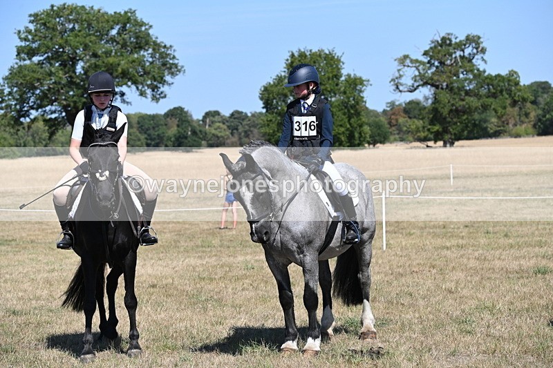 WJ6_8399 - Class 37a Best Loan Pony Ridden
