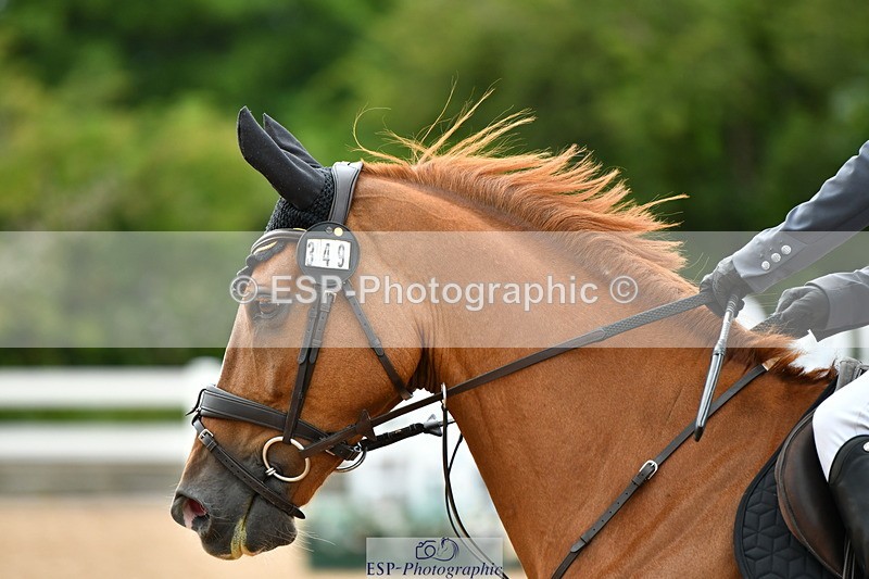 230721A-122203-06097 - Cls 18, 1 Star Silver 1.20m