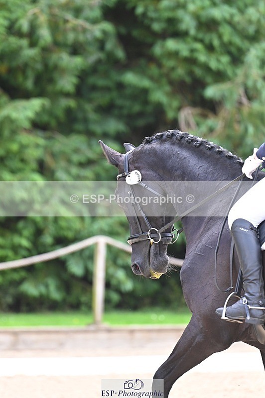 240809-115858-00659 - 233-Jo.Roberts-Majestic.C