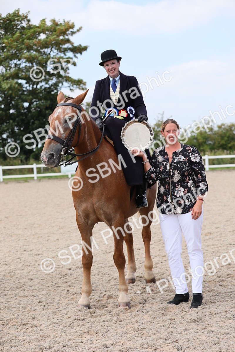 SBM_14619 - Class 211 Best Side Saddle Horse/Pony