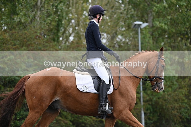 WJ7_6646 - Time 14:49 to 15:14