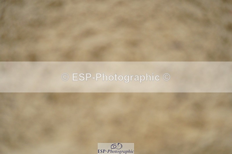 240309-113422-00400 - Cls 01 AE 70cm