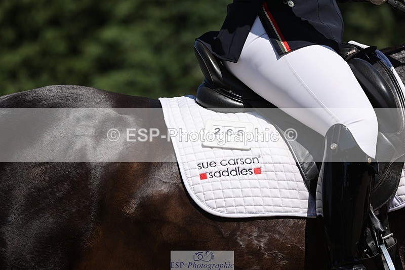 240719-142949-02324 - 266-Chloe_Cocks-Indulgence