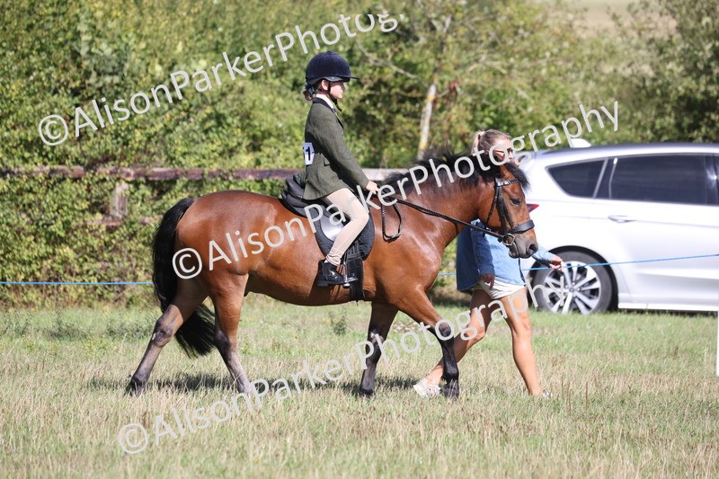 20260906-2150 - Class 16 - Family Pony