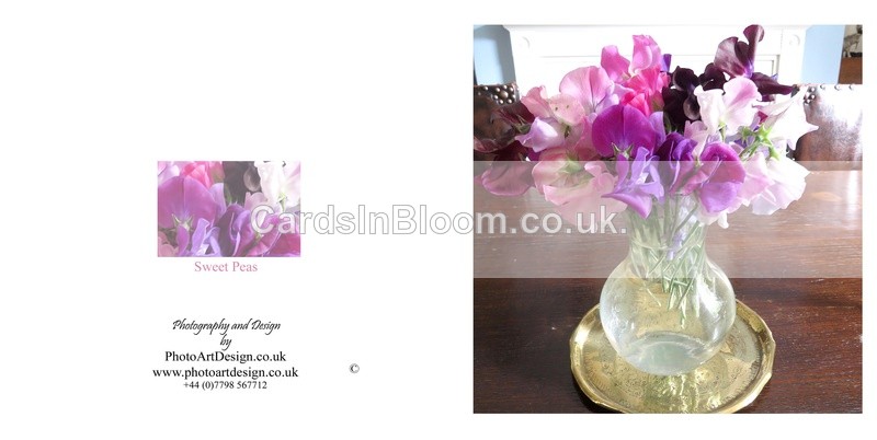 003 Sweet Peas - FLORAL GREETING CARDS