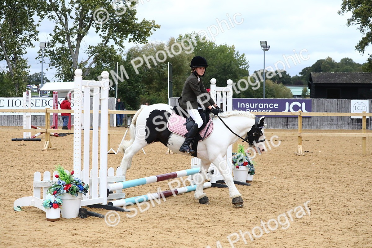 SBM_68303 - J3b - Mini Tour Junior Pony 40cm Championship