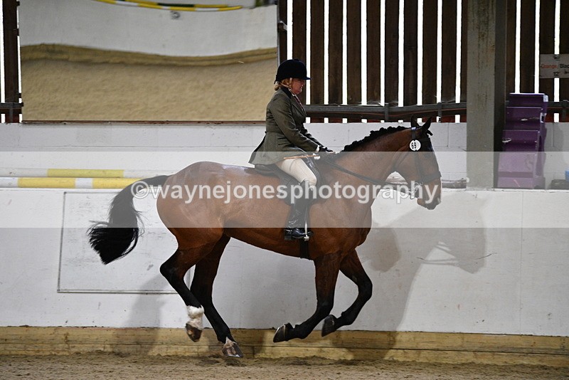 WJ5_9022 - Class 15 Ridden Show Horse
