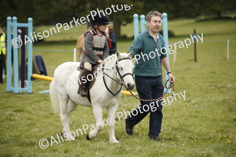 20250517-0106 - Class 1 - 30cm On Lead Rein