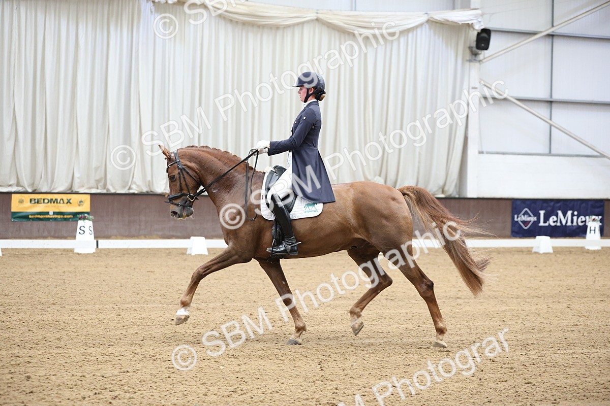 SBM_004376 - Class 9 - FEI Inter 1 Gold - 15.55-16.43