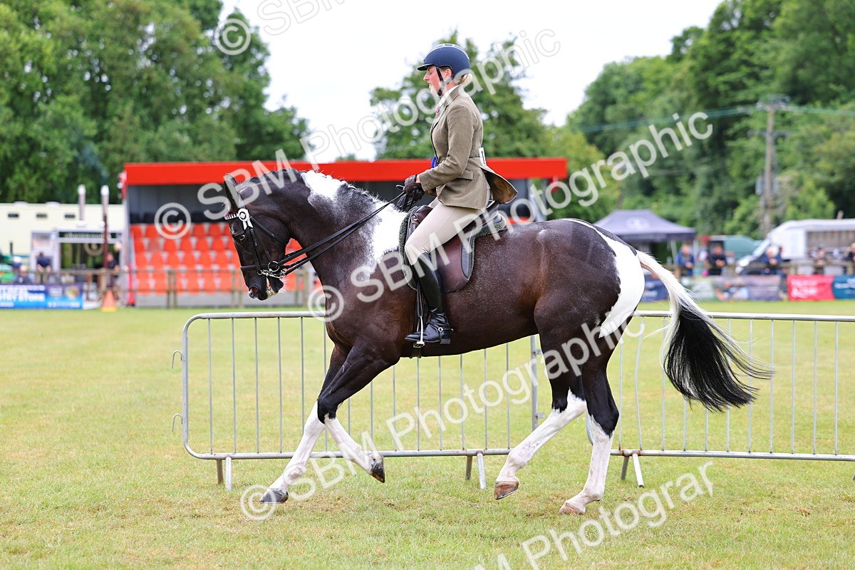 SBM_02654 - Class 9-11 Side Saddle including LIHS Rising Star Ladies Show Horse