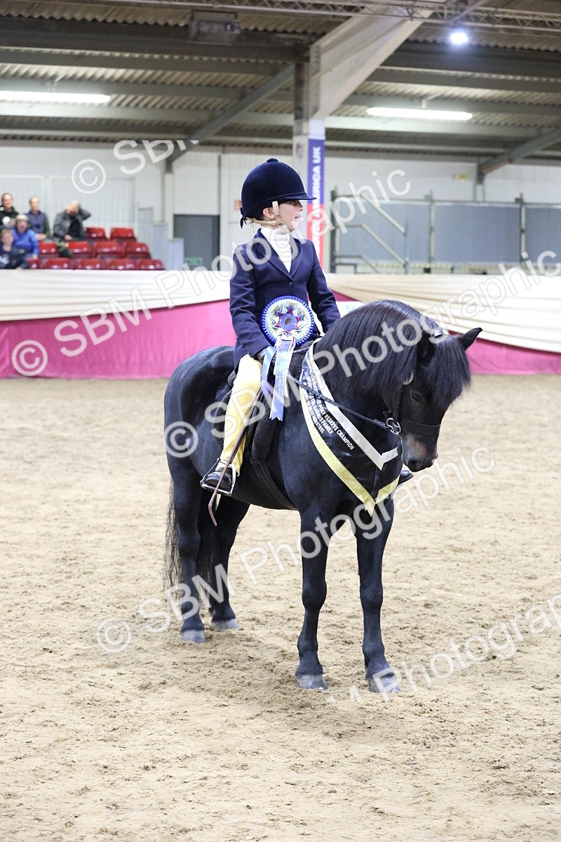 SBM_20614 - Class H - IH Competition - Riding Club champ