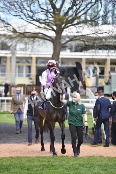 yr13052021r4-32 - Race 4 3.10pm Al Basti Equiworld Dubai Dante Stakes