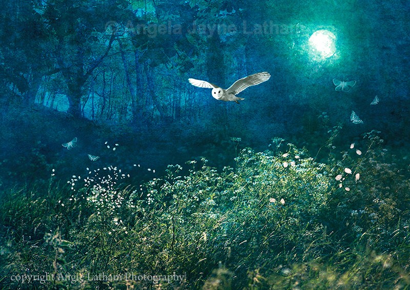 Midsummer Moonlight - Mystery & Moonlight