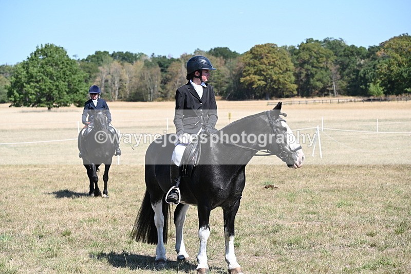 WJ6_8506 - Class 37a Best Loan Pony Ridden