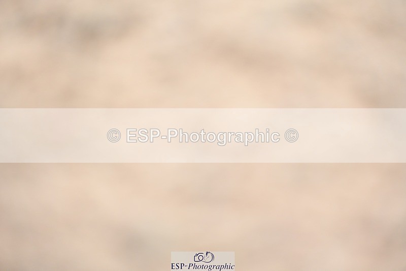 230813-154631-08253 - Cls 14 Medium Silver Start to 16.25 break