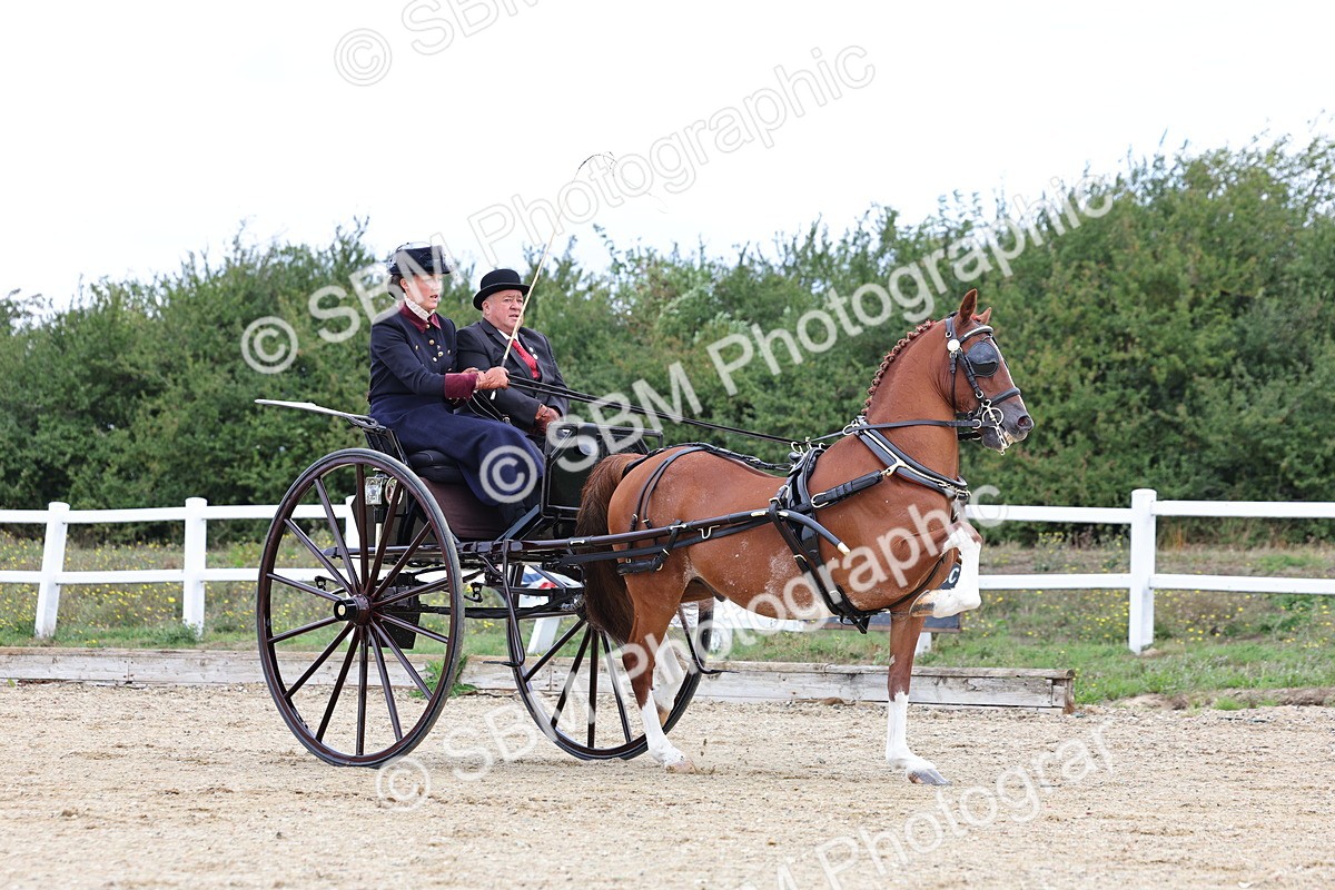 SBM_000391 - Class 4 - Junior Whip