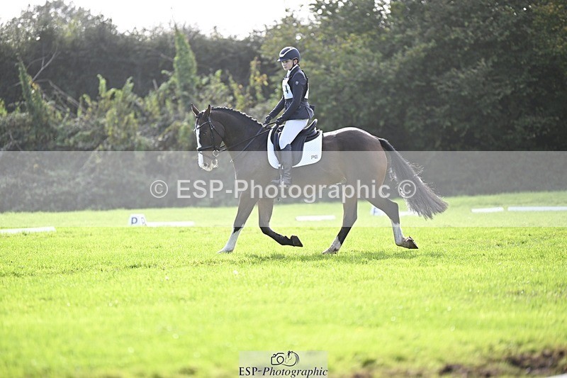 241025-120336-07003 - 374-Bella.Balian-BEECHWOOD.JOEY