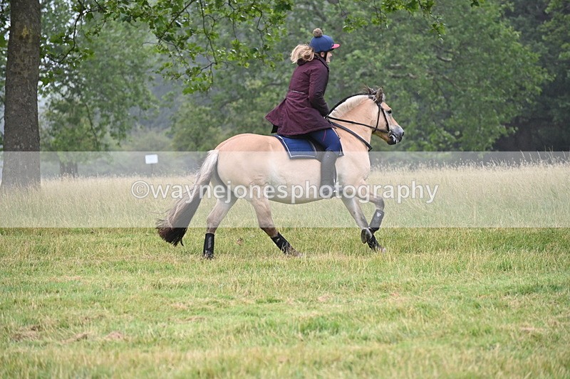 WJ6_0762 - Time at Kitchen Jump 11:34 to 12:28