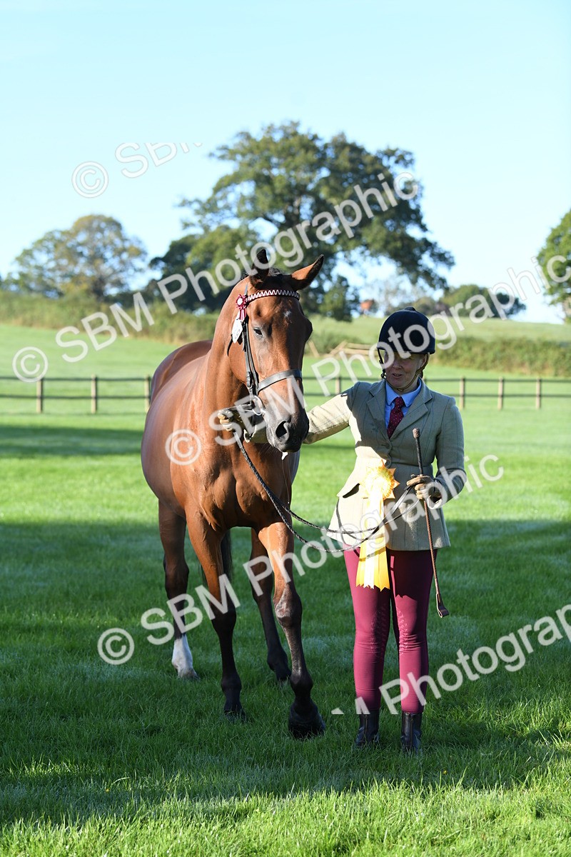 SBM_32847 - S15 - Condition & Turnout In Hand