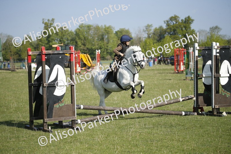 20250427-0344 - Class 12 - Rookie Jumping 40cm