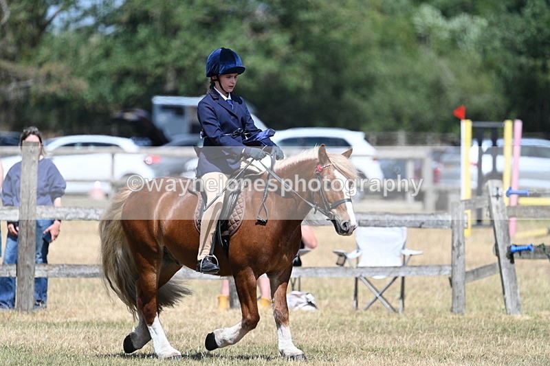 WJ7_3368 - Class 8 Ridden Veterans