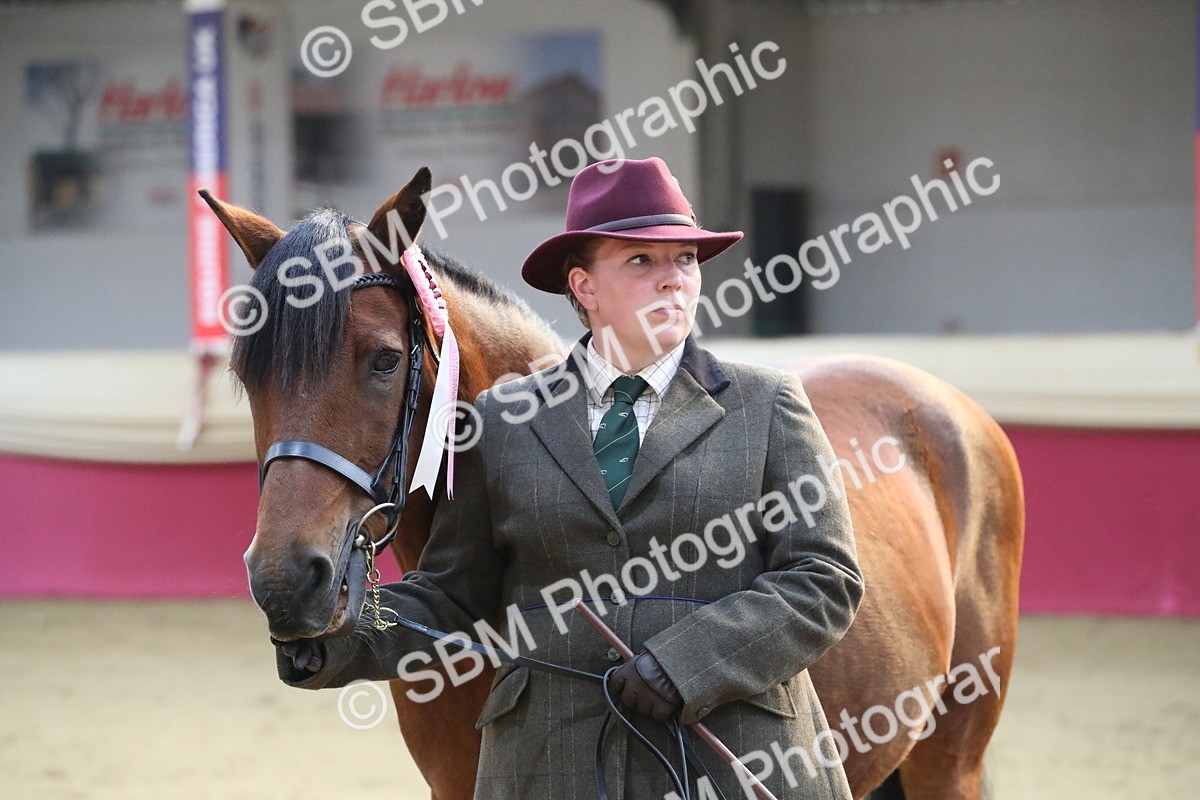 SBM_00335 - Class 1a - Area IH Diamond
