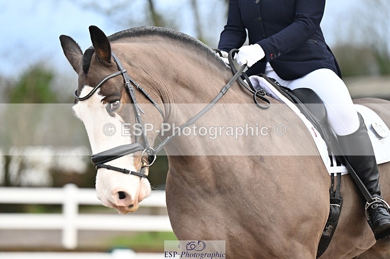 240218A-095933-04924 - 134-Abby.Hayes-Rathnagrew.Pride