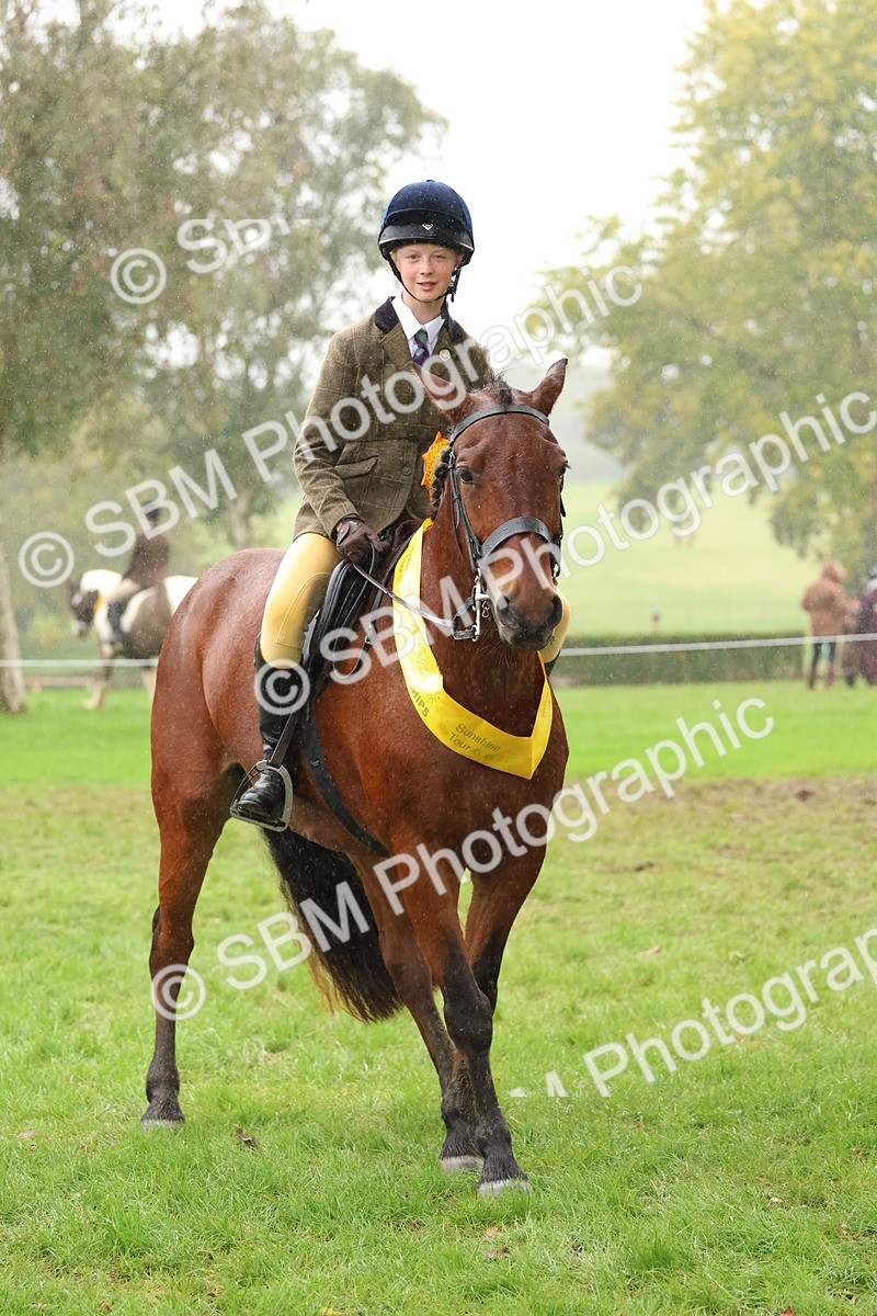SBM_73079 - S63 Show Pony & Show Hunter Pony Ridden