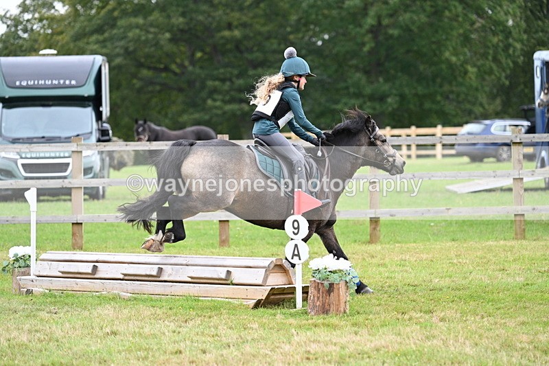 WJ7_7558 - 40cm Time 10:27 to 10:47
