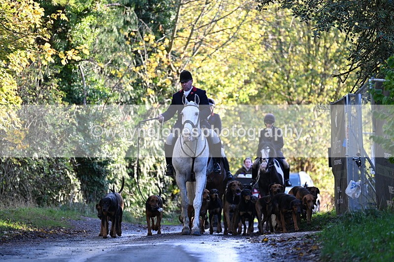 WJ7_8595 - Walk Home