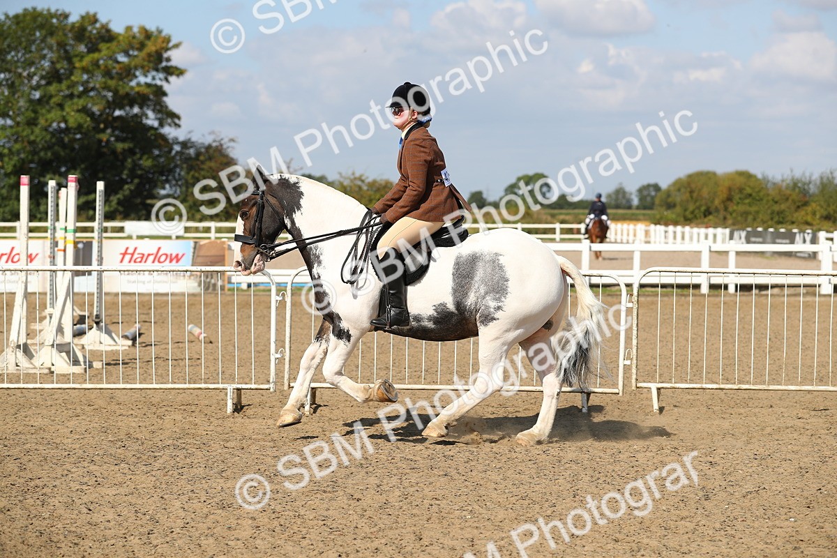 SBM_03163 - Class 44 Riding Club Horse/ Pony
