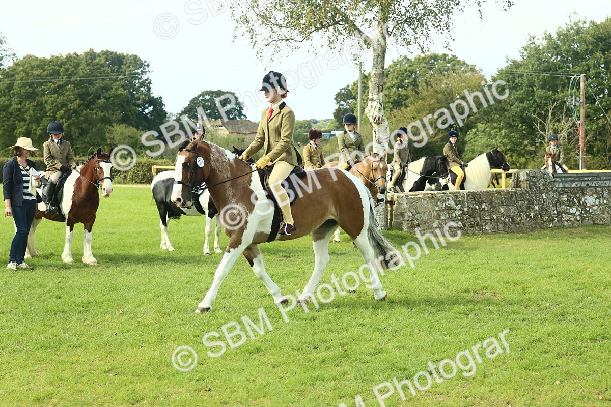 SBM_67643 - S56 - Coloured Pony Ridden