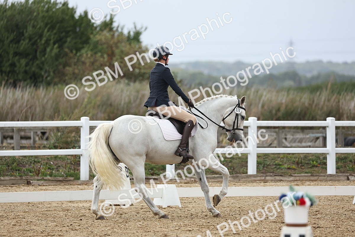 SBM_004302 - Class 8 - Novice 3 Champs