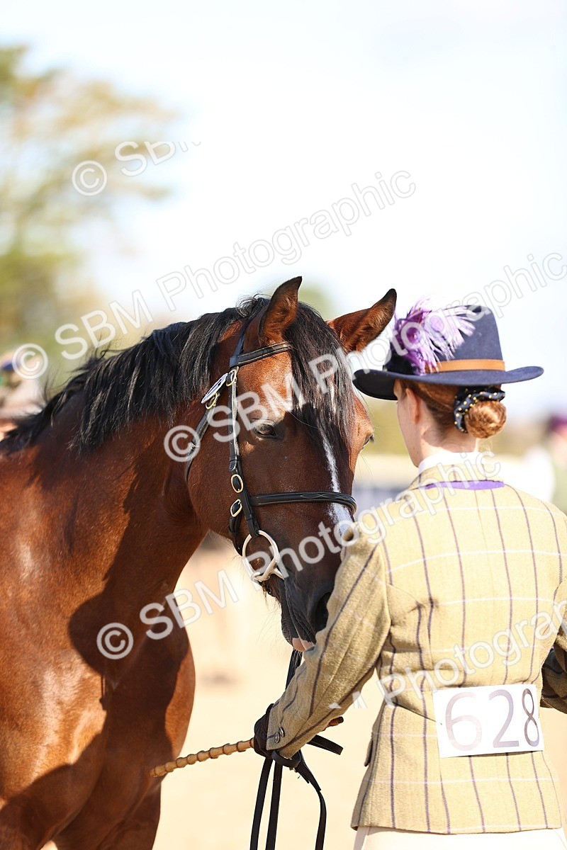 SBM_08488 - Class 402 - IH Veteran Pony